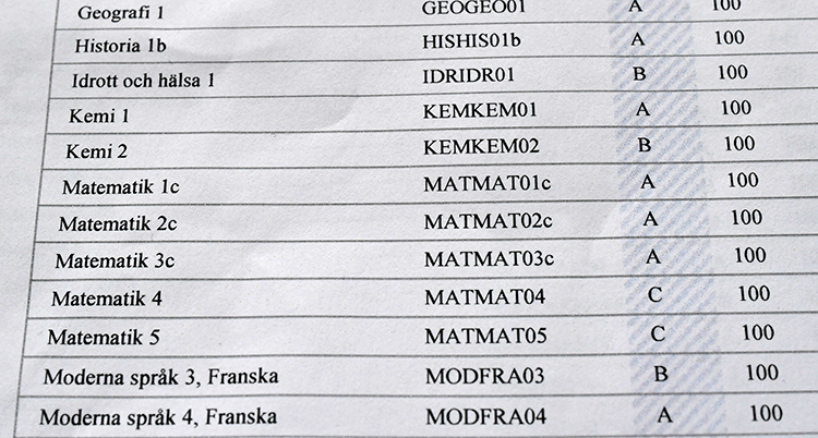 Ett papper med många olika kurser och betyg. Bland annat fem kurser i matematik.