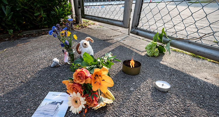 Blommor, ljus och nallar står på asfalten.