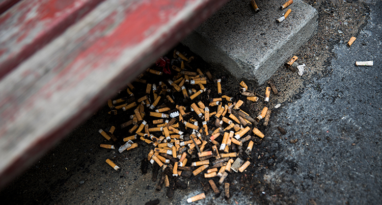 Massor av cigarettfimpar ligger på asfalten.