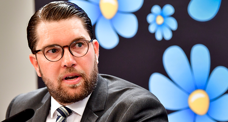 Åkesson talar. Bakom honom finns bilder av blåsippor som är partiets symbol.
