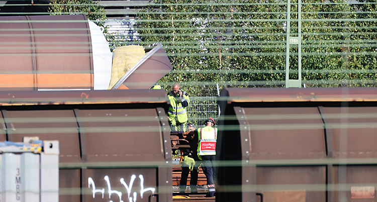 Vi ser en bangård. Det finns många spår för tåg. Flera tåg står på spåren. Ovanför går ledningar med ström. Några personer i jobbkläder står vid ett av tågen.