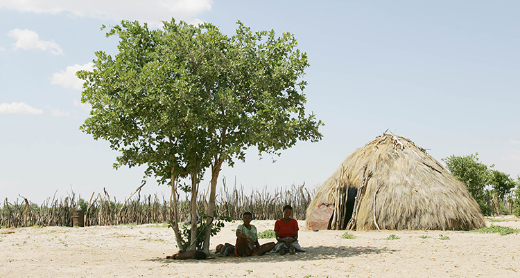 Två kvinnor söker skydd under ett träd i landet Botswana.