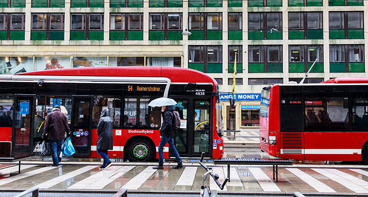 Två röda bussar som stor void en gatkant. Människor är på väg att gå in i den ena. Det regnar.