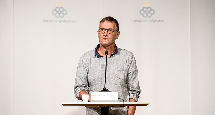 Anders Tegnell i grå tröja tittar ut mot folk (som inte syns i bilden) under presskonferensen.
