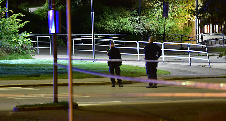 Det är mörkt. Vi ser en gata. Två poliser står på gatan.