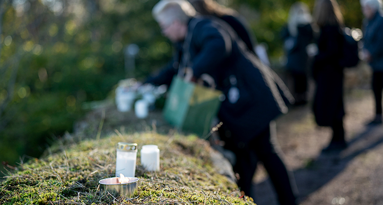 Två gravljus är i fokus i förgrunden av bilden. De står på en bädd av mossa utomhus. I bakgrunden ser vi människor placera ljus i mossan. Människorna är ur fokus.