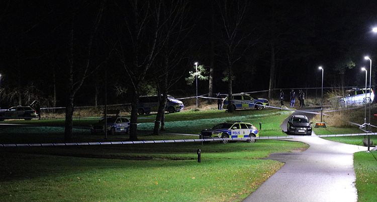 En stor gräsmatta är avspärrad med polistejp. Flera polisbilar syns.