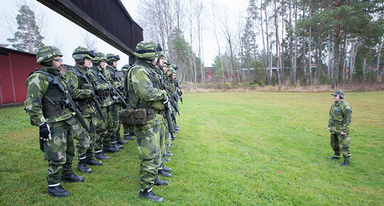 Människor i militärkläder står på två led på en gräsmatta. Framför står en miltiräsklädd person vänd mot gruppen.