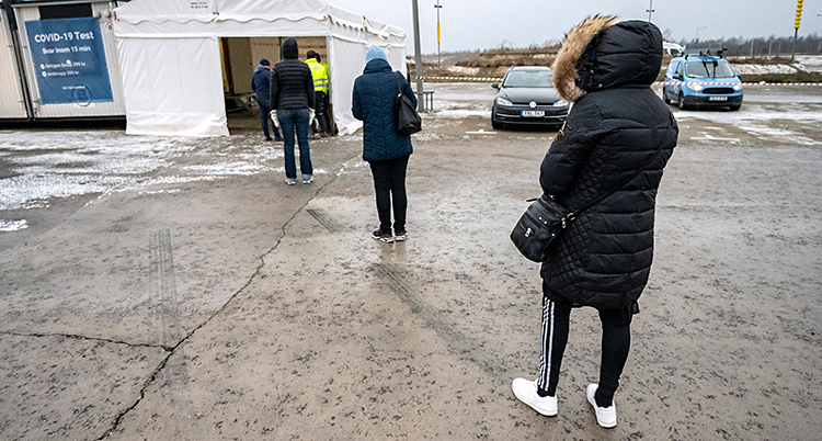 Människor står i en kö utomhus. De har stort avstånd mellan varandra. De köar till ett vitt tält där de ska få testa sig.