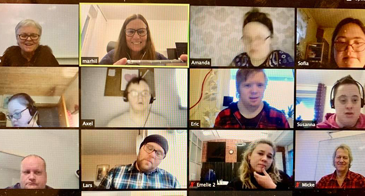 Ett galleri med bilder av tolv personer som pratar i ett digitalt möte