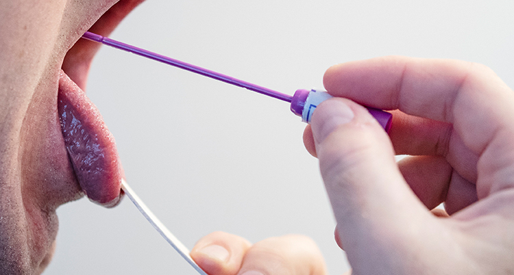 En gapande mun där tungan trycks ned med en träspatel medan ett testinstrument förs in.