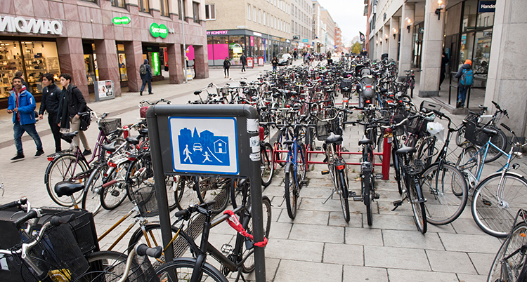 Massor av cyklar står parkerade på en gata.