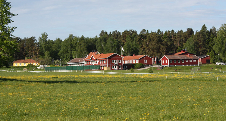 Röda hus på en grön äng vid en skog.