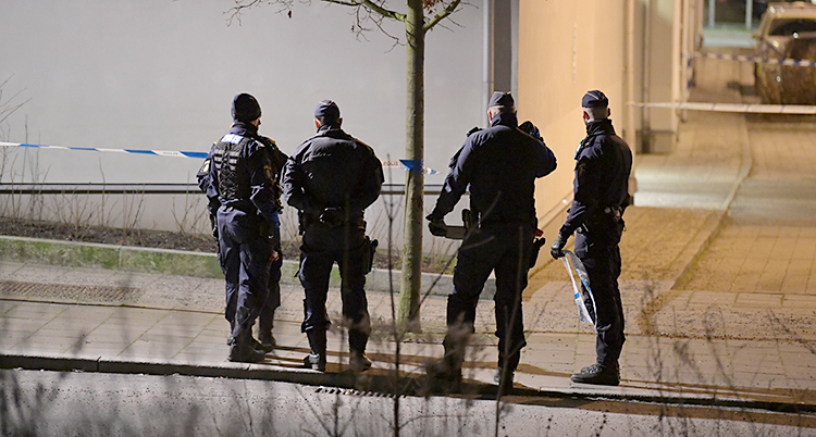 Det är kväll. Fyra poliser står på en gata. De står med ryggen mot kameran.