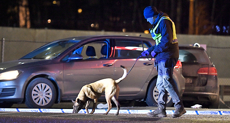 Det är kväll. En polis går runt med en hund. I bakgrunden står en bil. I bilen finns det hål efter skott.