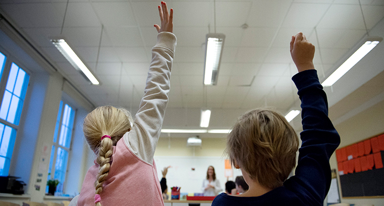Två elevers ryggar i ett klassrum. De räcker upp handen.