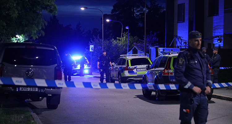 Det är mörkt ute. Flera poliser och polisbilar är på en gata.