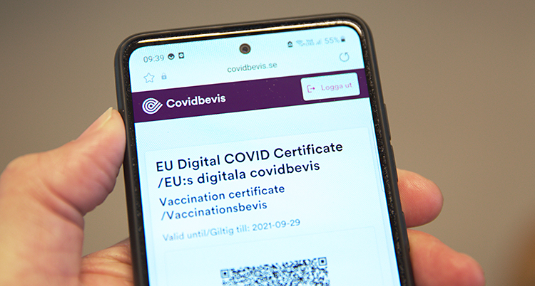 En hand håller i en mobiltelefon. På skärmen står det Covidbevis.