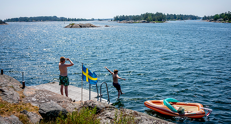 Två barn är vid en brygga. Ett av barnen hoppar i vattnet. Solen skiner.