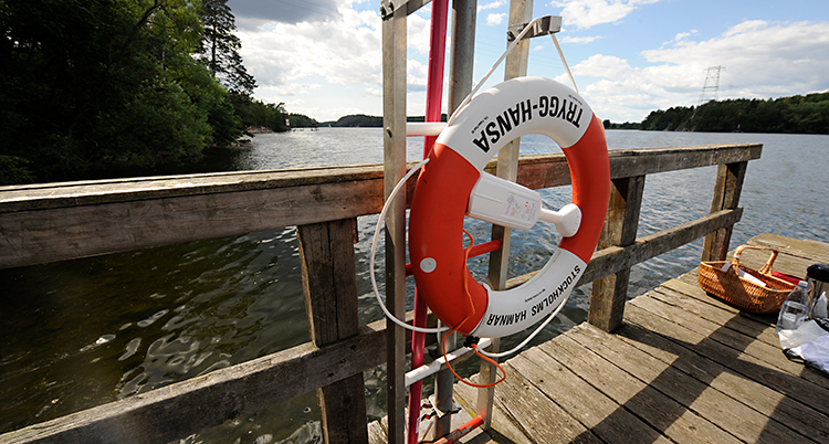 Bilden visar en brygga som ligger vid vattnet. På bryggan finns det en livboj som sitter fast på en ställning.