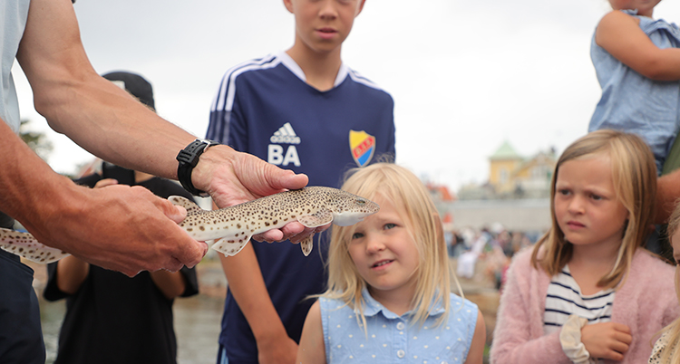 Ett par händer håller i en fisk. Bakom syns barn och vuxna som tittar. De står utomhus.
