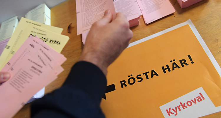 En person håller i olika lappar. Det är valsedlar till kyrkovalet. Lapparna är rosa och gula.
