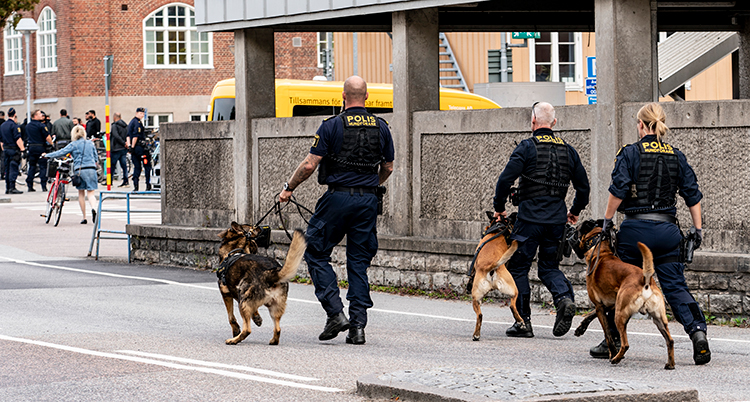 Tre poliser med hundar på väg bort mot en grupp människor som står ganska långt borta.