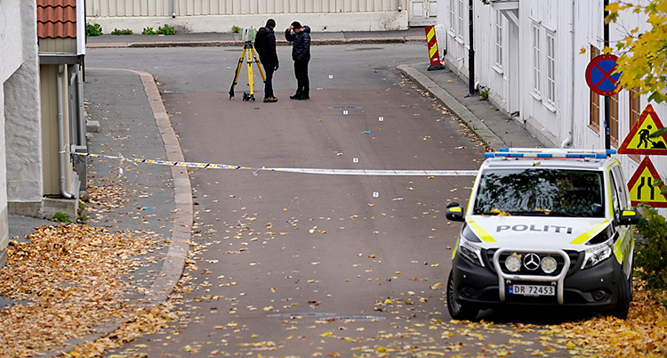 Två poliser och en polisbil står på en gata.
