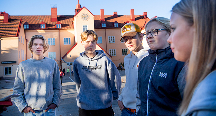 Eleverna står i halvcirkel på skolgården.