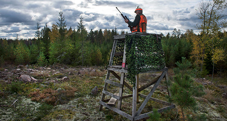 Jägaren har varselväst och står med ett gevär i ett jakttorn på en bergknalle i skogen