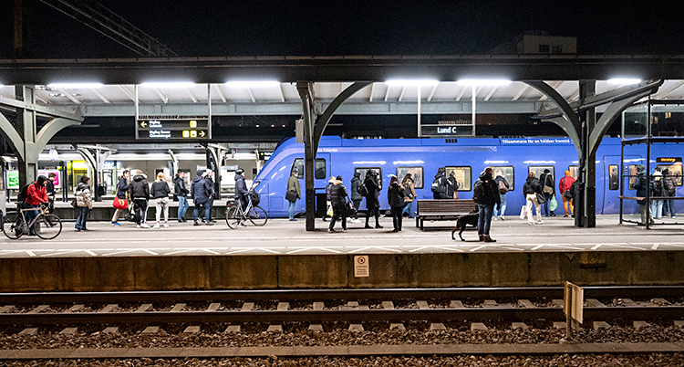 Det är mörkt ute. Flera personer står på en perrong. Det står ett tåg inne på perrongen.
