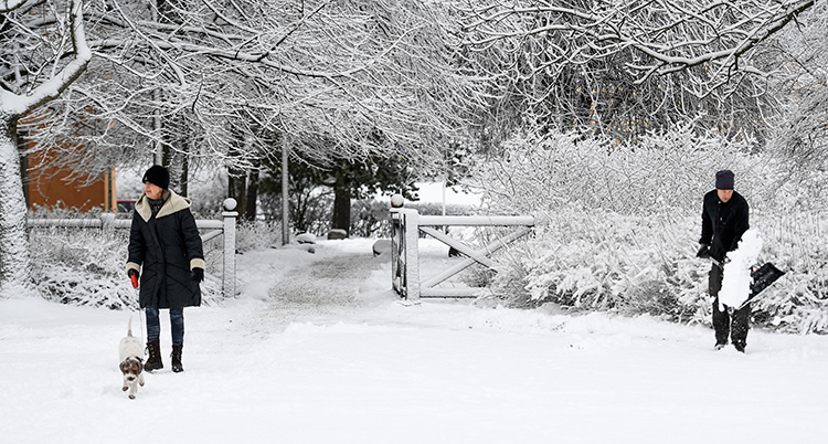 Två personer skottar snö.