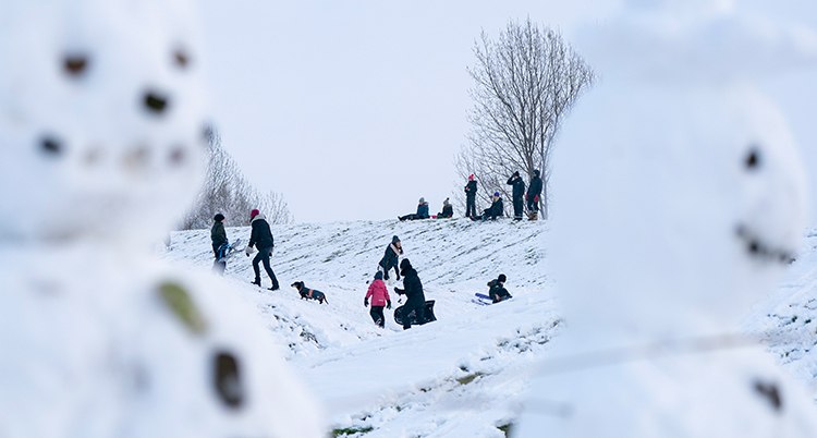 Två snögubbar i förgrunden. Folk åker pulka i backar i bakgrunden.