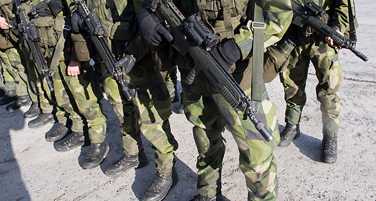 Flera militärer står uppställda med vapen. Bilden visar inte deras ansikten.