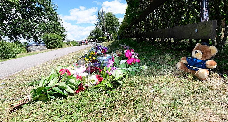 Det är sommar. Det ligger blommor på gräset vid sidan av en väg.