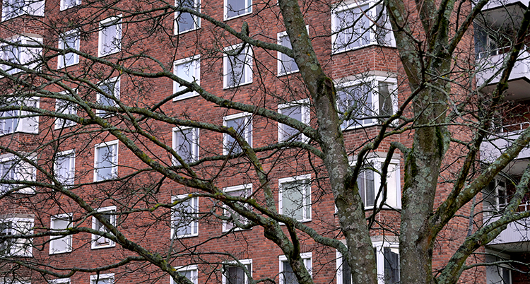 Hus med flera lägenheter.