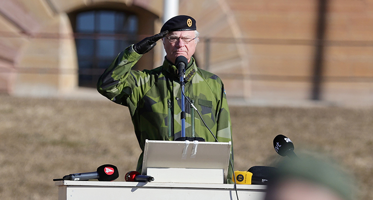 Kungen i militärgröna kläder gör honnör.