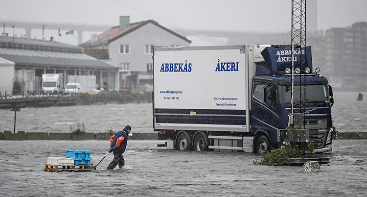 En man vadar i vatten. Han drar en lastpall mot en lastbil.