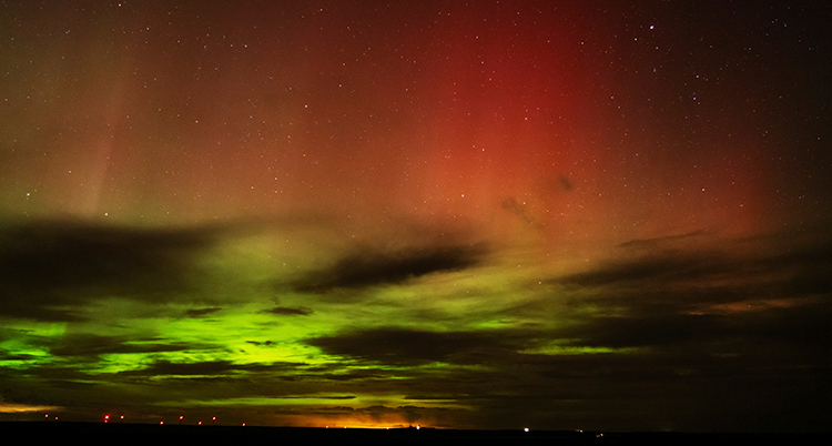 Röda och gröna slöjor av ljus syns på en mörk himmel