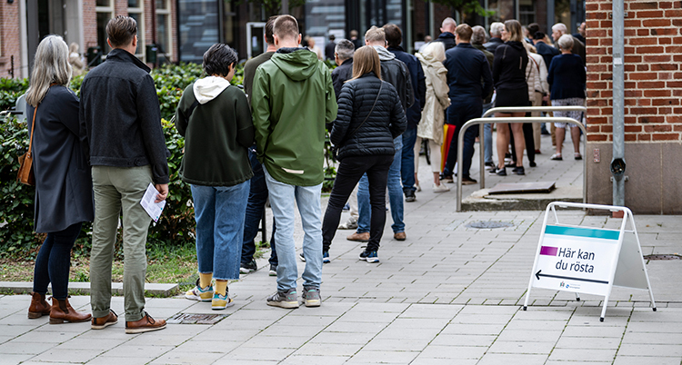 Människor står i kö med ryggen mot kameran.