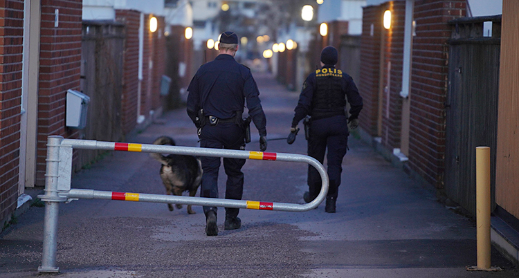 Två poliser går runt i ett område med bostäder. De har en hund med sig.