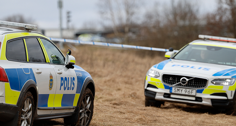 Två polisbilar på ett fält.