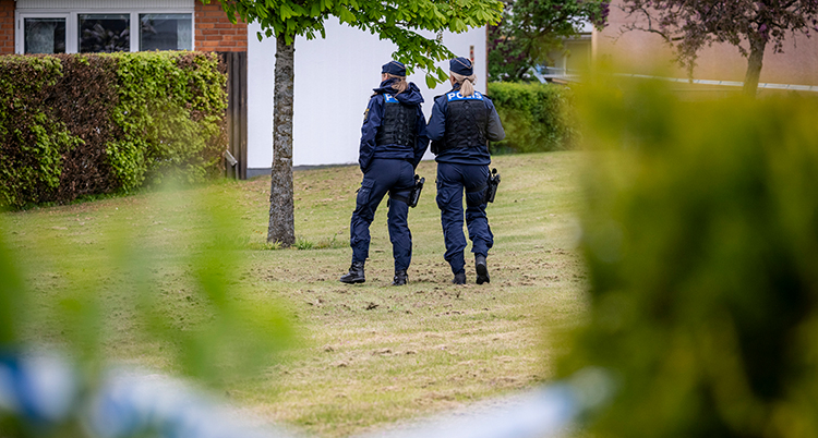 Två poliser står på en gräsmatta.