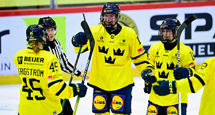 Några spelare står på isen.