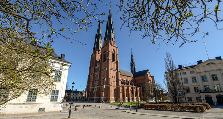 En stor kyrka i tegel. Den har två torn.