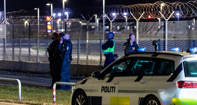 De står vid ett stängsel och kollar upp mot himlen. Det är mörkt.