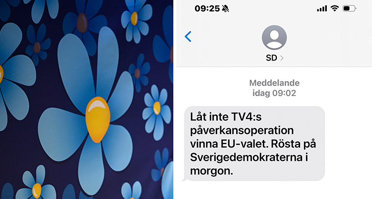 En blå blomma med gul knopp till vänster. På den andra bilden ett sms med text på en mobil.