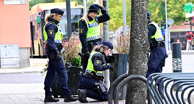 Flera poliser letar vid en papperskorg på en trottoar.