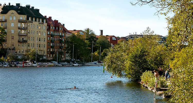 En vik med vatten. Folk badar. Höghus syns i bakgrunden.