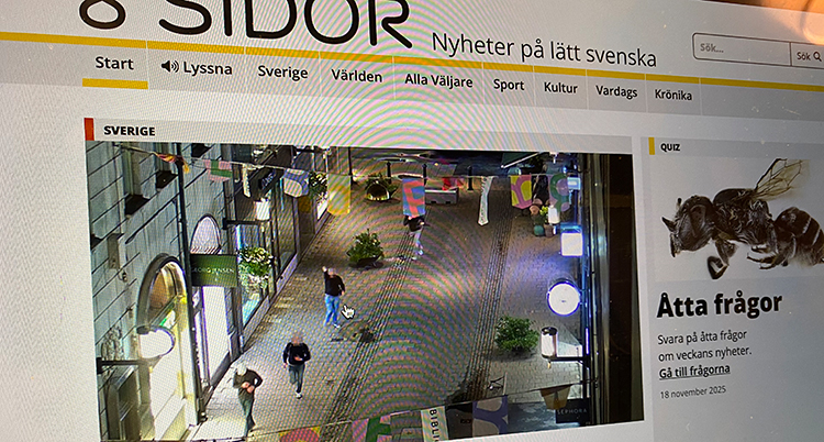 En bild av 8 Sidors hemsida.